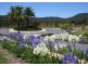 100 Belle O’Connor Street, South West Rocks NSW 2431