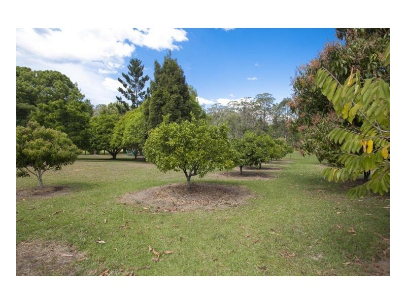 464 Pine Creek Way, Bonville NSW 2441