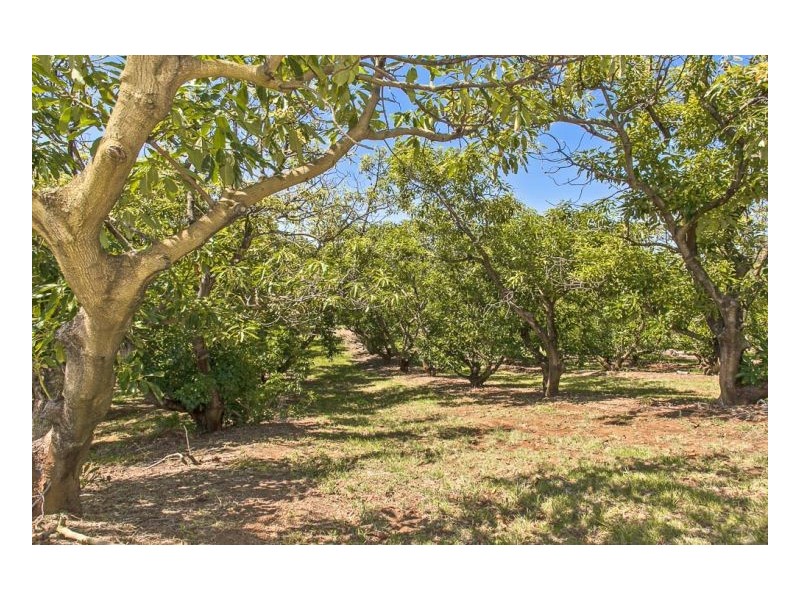 214 Grays Road, Halfway Creek NSW 2460