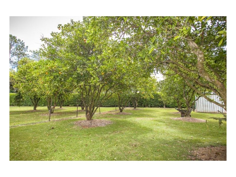 83 Braford Drive, Bonville NSW 2441