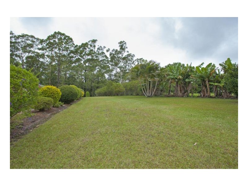 43 Old Coast Road, Repton NSW 2454