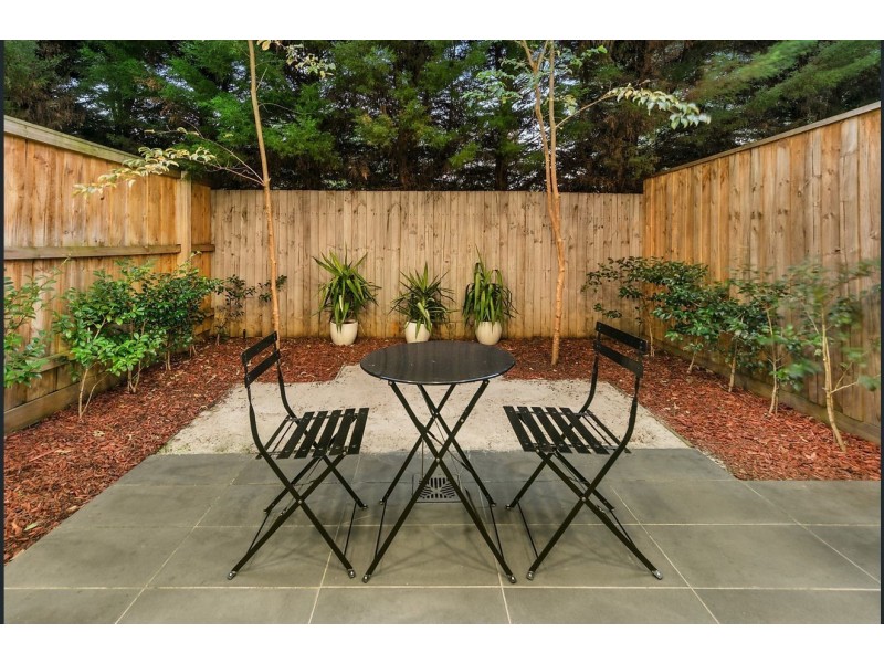 17 Norfolk Place, Malvern VIC 3144