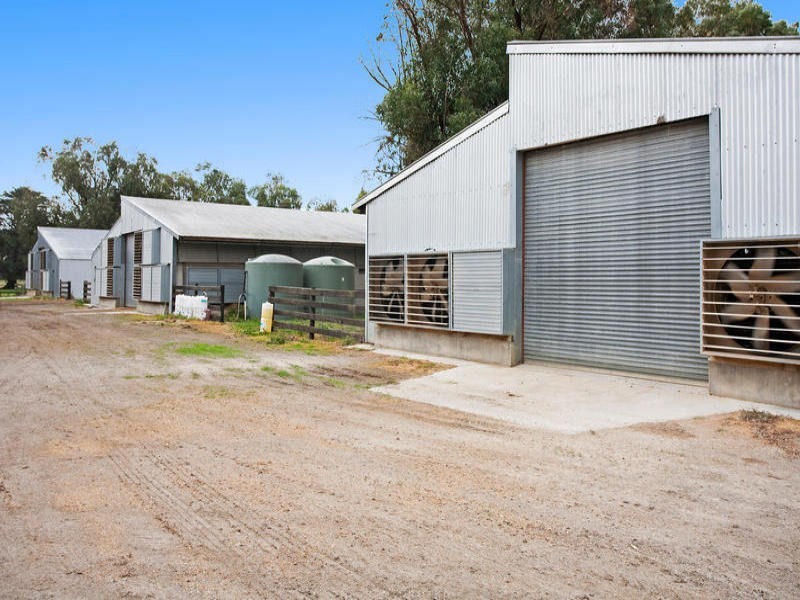 Chicken Farm For Sale, Freshwater Creek VIC 3216