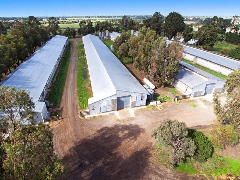 Chicken Farm For Sale, Freshwater Creek VIC 3216