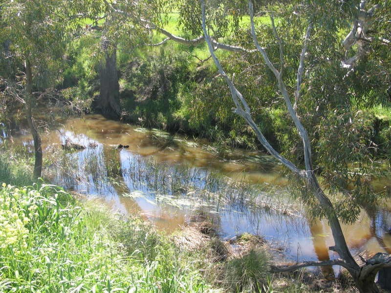 159 Bakers Road, Russells Bridge VIC 3331