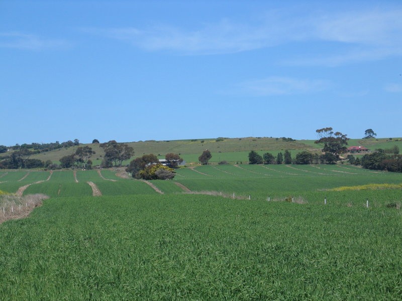 159 Bakers Road, Russells Bridge VIC 3331