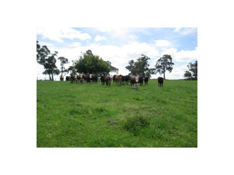 2745 Colac-Forrest Road, Forrest VIC 3236