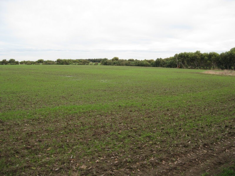 350 Andersons Road, Drysdale VIC 3222