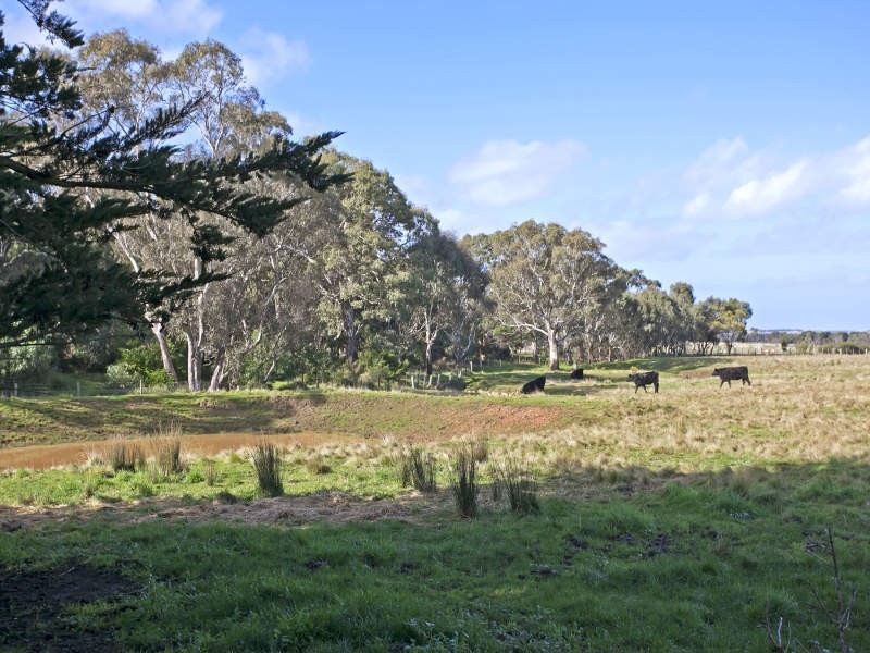 455 Dickins Road, Freshwater Creek VIC 3216