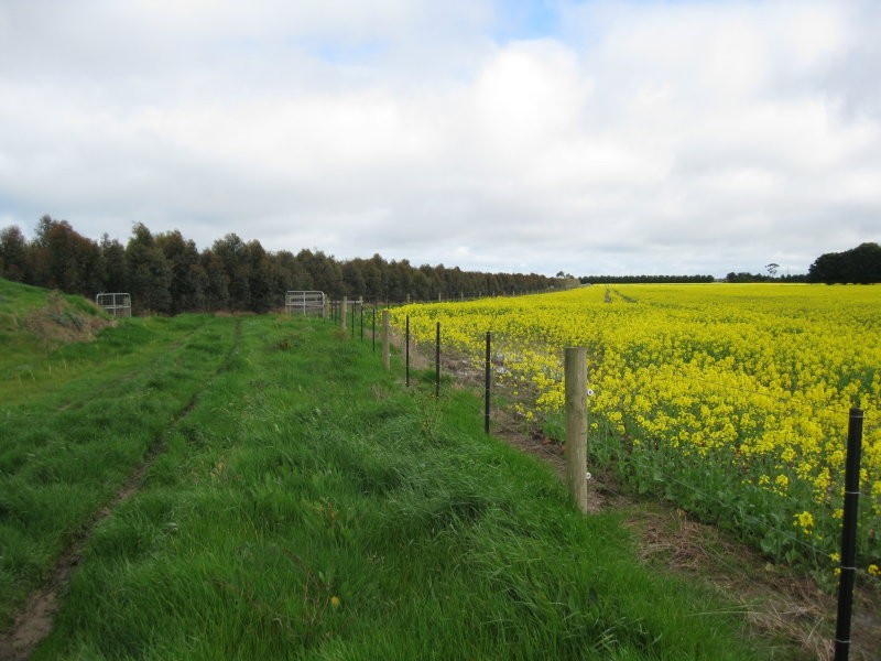 210 Prices Lane, Winchelsea VIC 3241