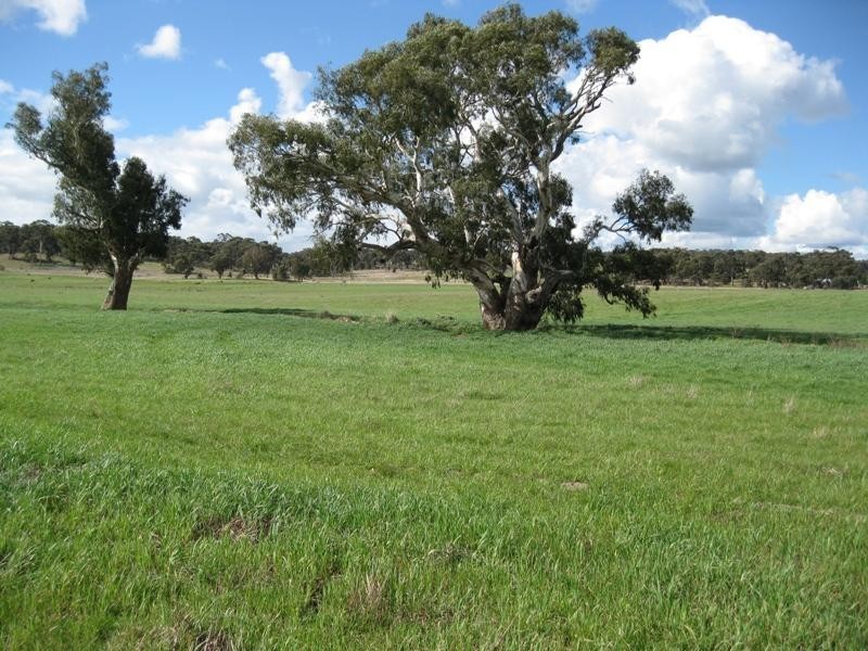 Strathlea Road, Campbelltown VIC 3364