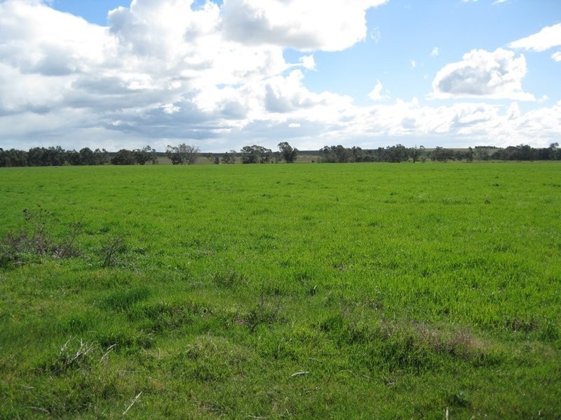 Strathlea Road, Campbelltown VIC 3364