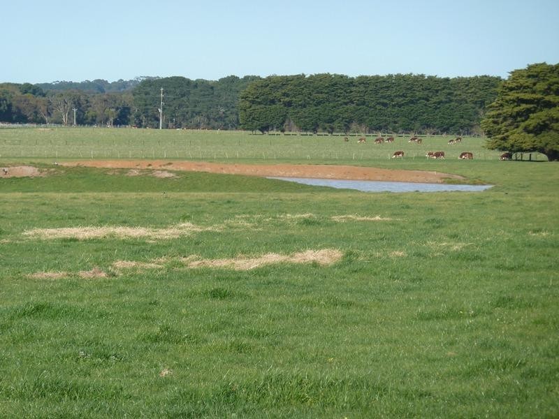 70 Crabbes Road, Warncoort VIC 3243