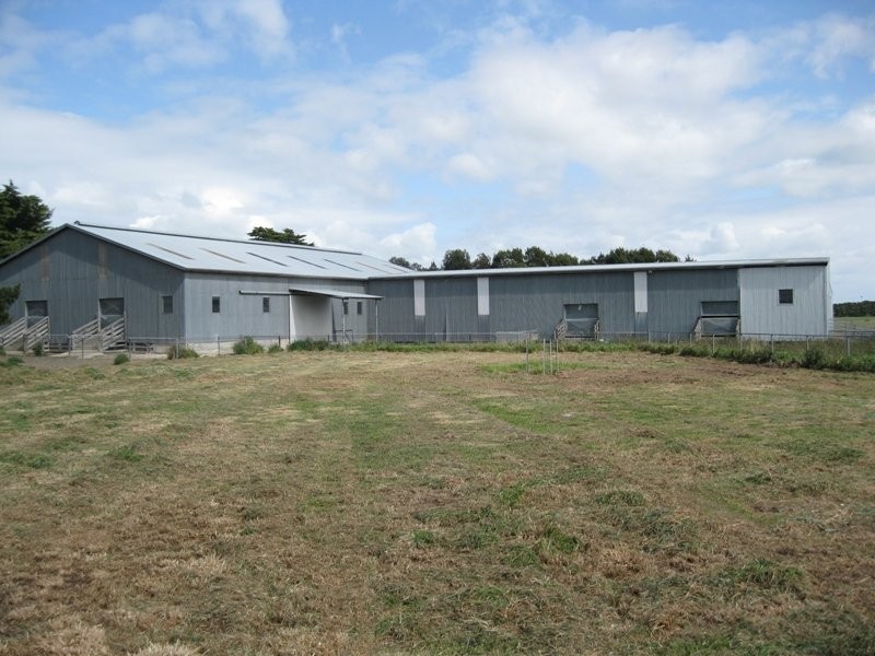 Poorneet Road, Weering VIC 3251