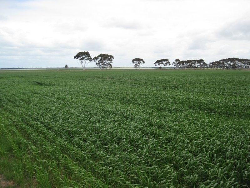 Poorneet Road, Weering VIC 3251