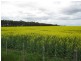 Poorneet Road, Weering VIC 3251
