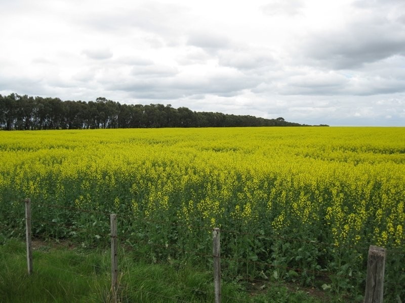 Poorneet Road, Weering VIC 3251