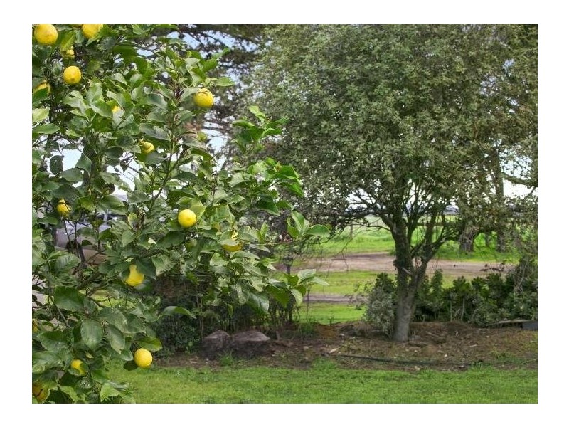 250 Bogans Lane, Freshwater Creek VIC 3216