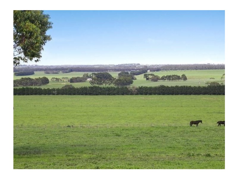 250 Bogans Lane, Freshwater Creek VIC 3216