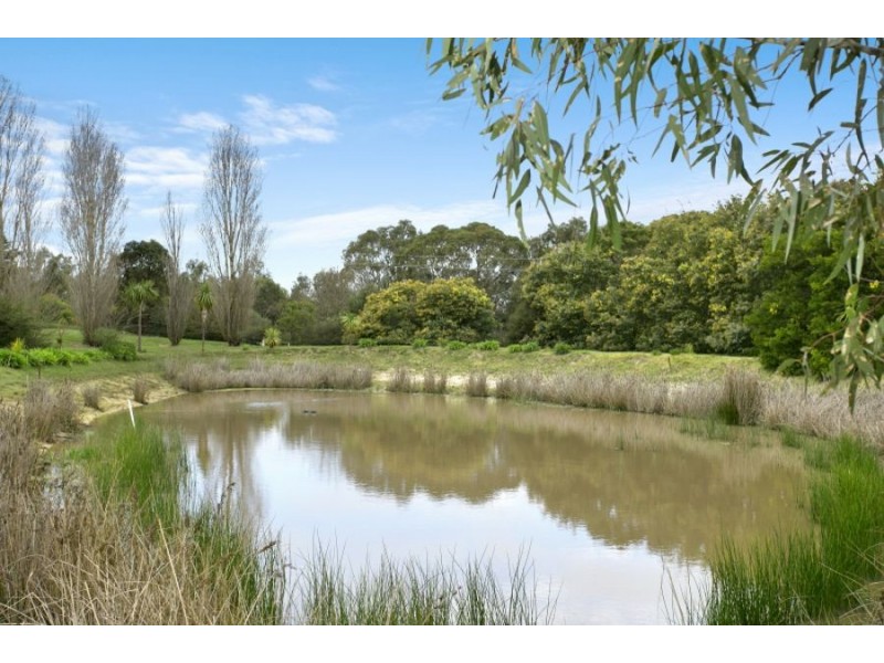 2910 Cape Otway Road, Winchelsea VIC 3241