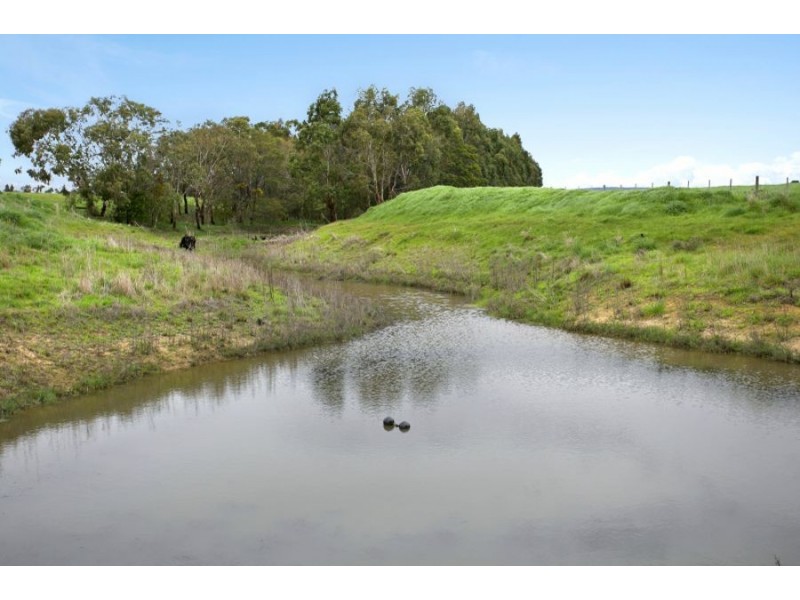 2910 Cape Otway Road, Winchelsea VIC 3241