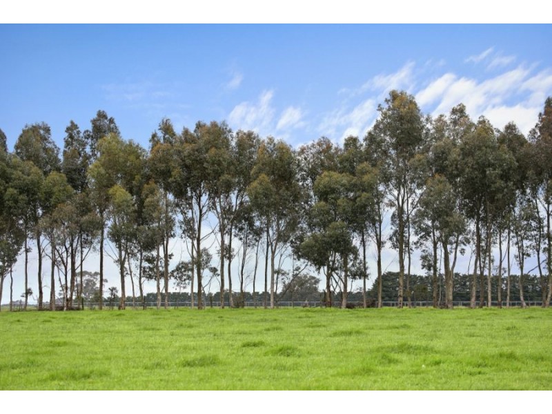 2910 Cape Otway Road, Winchelsea VIC 3241