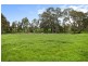 2910 Cape Otway Road, Winchelsea VIC 3241