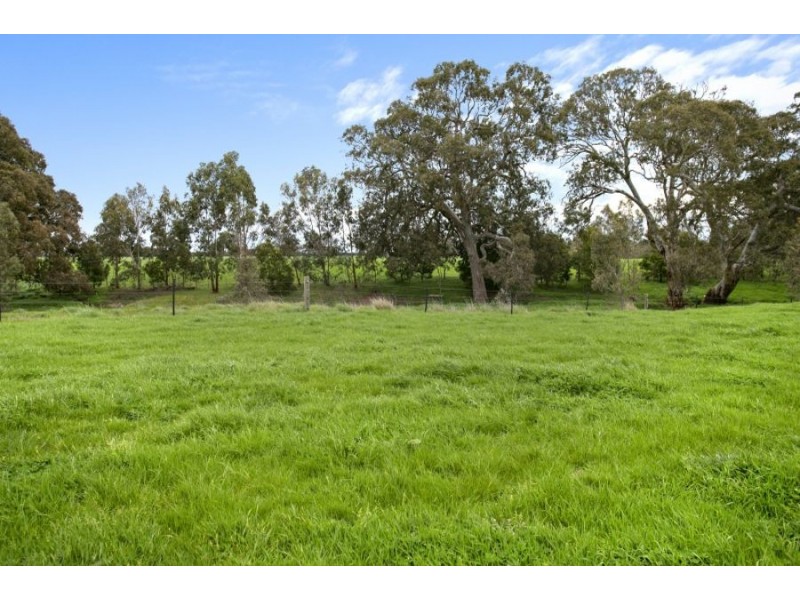 2910 Cape Otway Road, Winchelsea VIC 3241