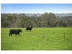 2910 Cape Otway Road, Winchelsea VIC 3241