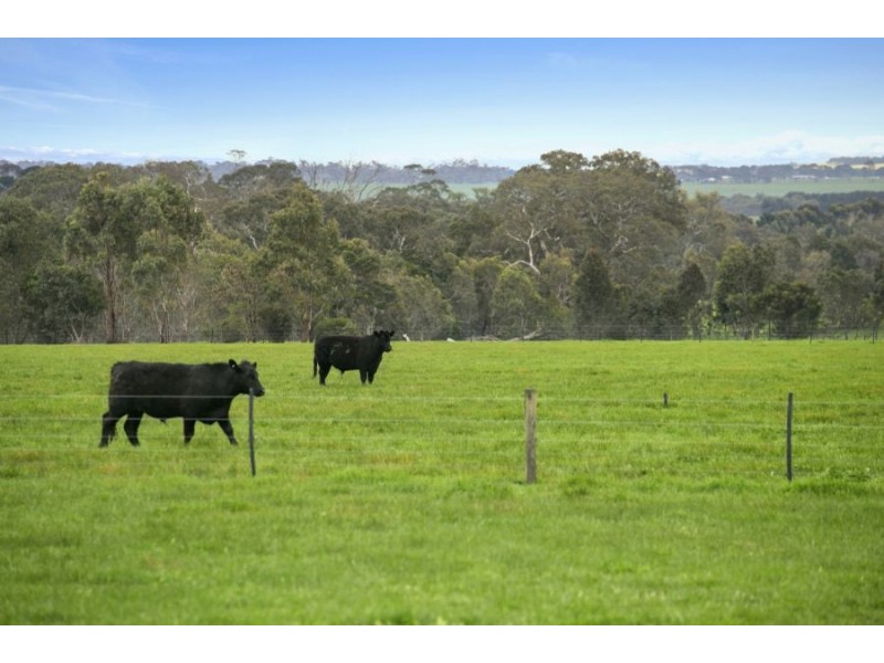 2910 Cape Otway Road, Winchelsea VIC 3241