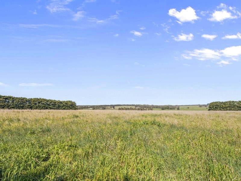 1761 Cape Otway Road, Wurdiboluc VIC 3241