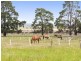 1930 Princes Highway, Buckley VIC 3240