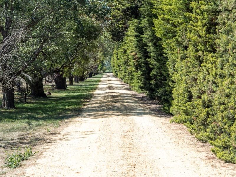 865 Hendy Main Road, Moriac VIC 3240