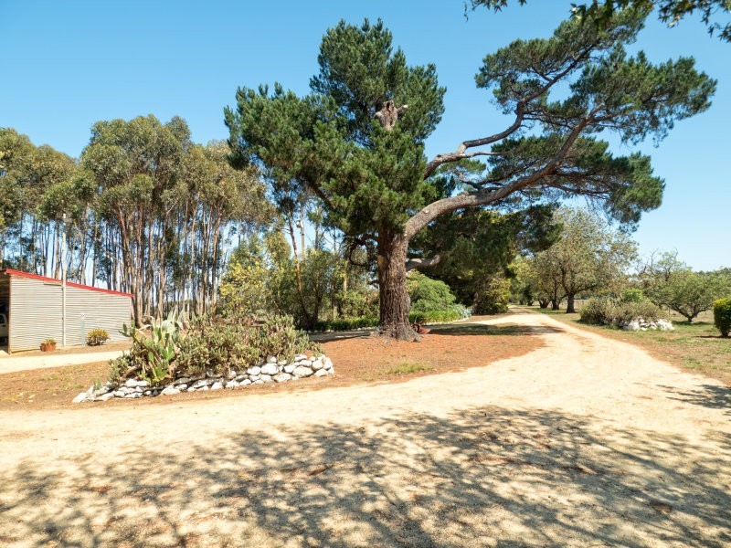 865 Hendy Main Road, Moriac VIC 3240