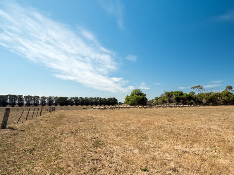 865 Hendy Main Road, Moriac VIC 3240