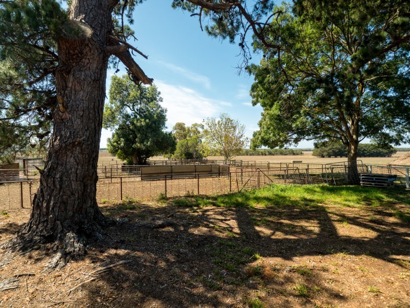 865 Hendy Main Road, Moriac VIC 3240