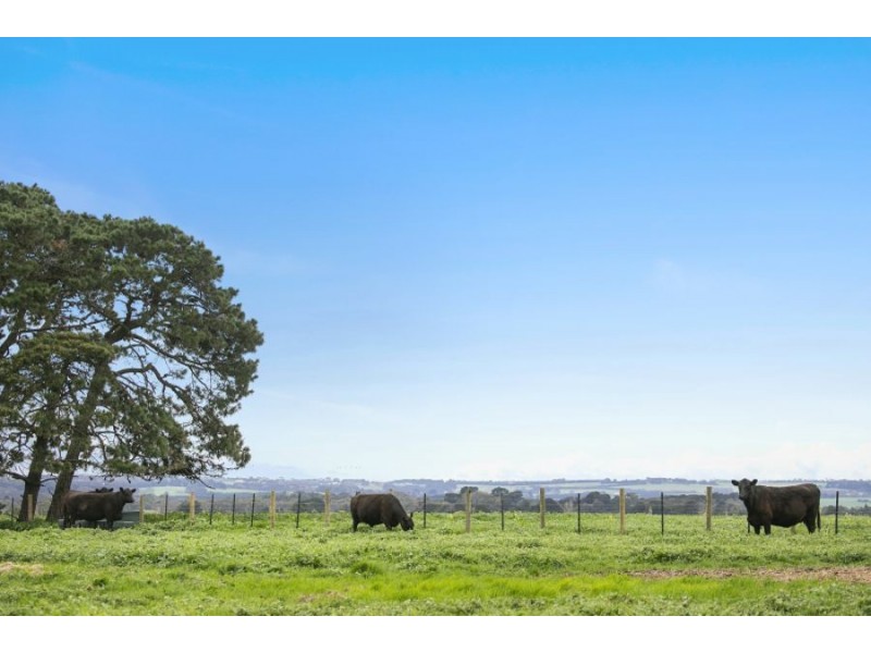 835 Cape Otway Road, Moriac VIC 3240