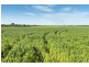 779 Coopers Road, Meredith VIC 3333