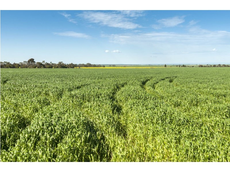 779 Coopers Road, Meredith VIC 3333