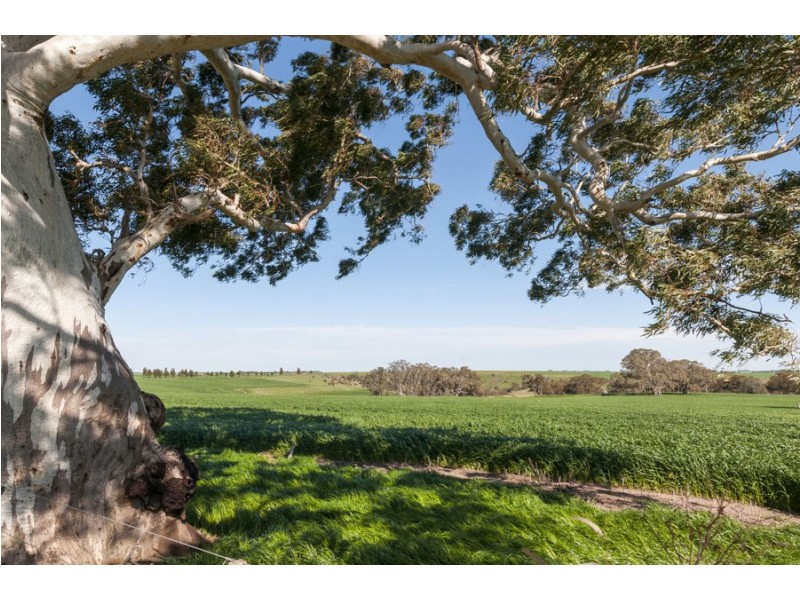 779 Coopers Road, Meredith VIC 3333