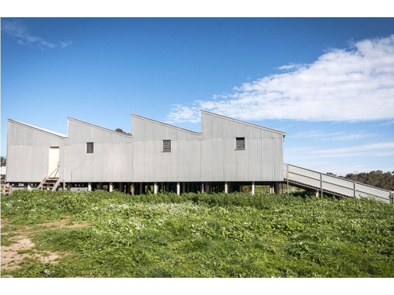 779 Coopers Road, Meredith VIC 3333
