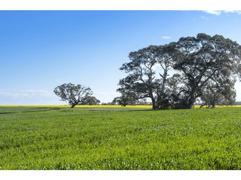 779 Coopers Road, Meredith VIC 3333