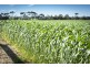 779 Coopers Road, Meredith VIC 3333