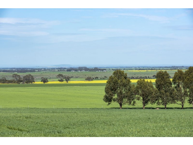 779 Coopers Road, Meredith VIC 3333