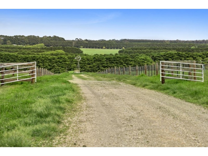 190 Nobles Road, Modewarre VIC 3240