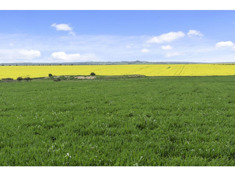 789 Shelford – Meredith Road, Meredith VIC 3333