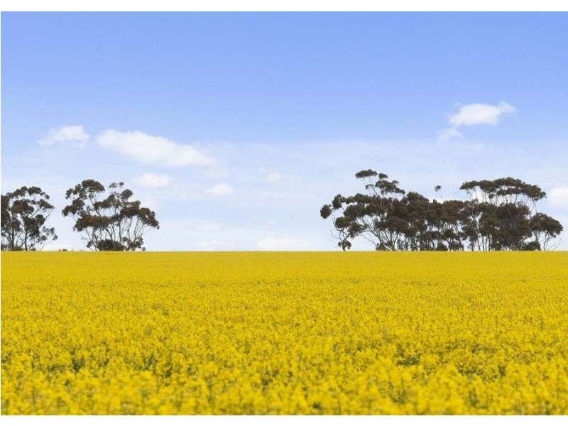 789 Shelford – Meredith Road, Meredith VIC 3333