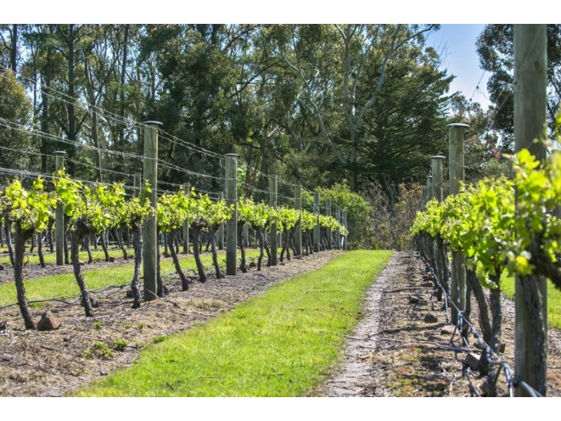 45 Dog Rocks Road, Batesford VIC 3221