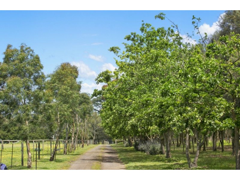 455 Murradoc Road, Drysdale VIC 3222