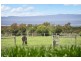455 Murradoc Road, Drysdale VIC 3222